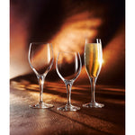 6 x verres à vin SENSATION EXALT - 25cl - Chef&Sommelier