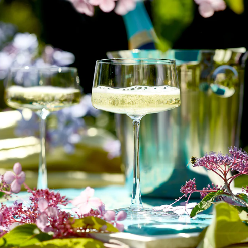6 x verres à pied POWER - 27.6cl - Stolzle Lausitz