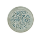 Assiette plate AMELIE - 21cm - Porcelaine - Saturnia