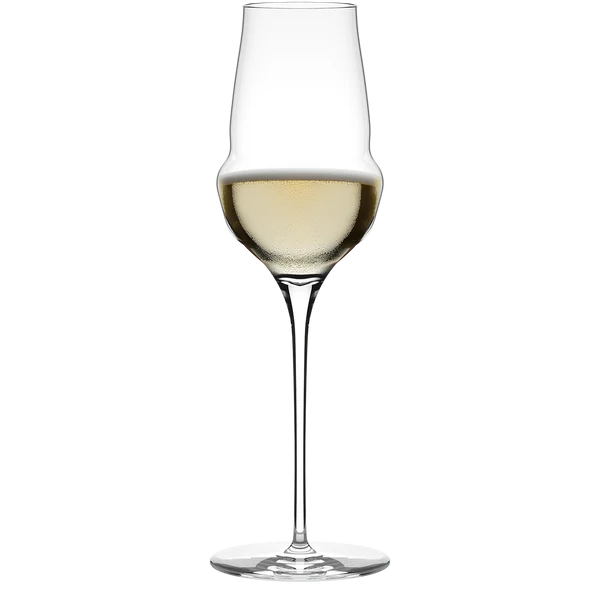 6 x verres à champagne COCOON - 340ml - Stölzle Lausitz