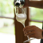 6 x verres à champagne COCOON - 340ml - Stölzle Lausitz