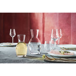 6 x carafes YPSILON - 250ml - Bormioli Rocco